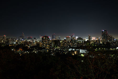 仙台市内の夜景を一望する