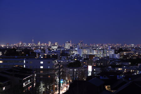 東京スカイツリー・東京タワーを望む