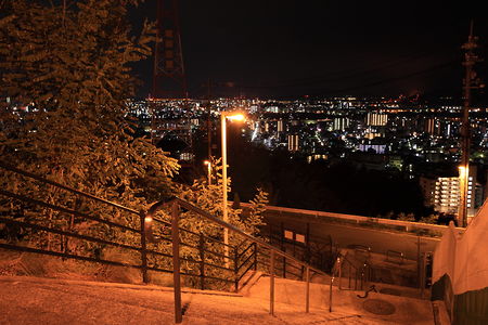 道路沿いの階段付近から夜景を眺める