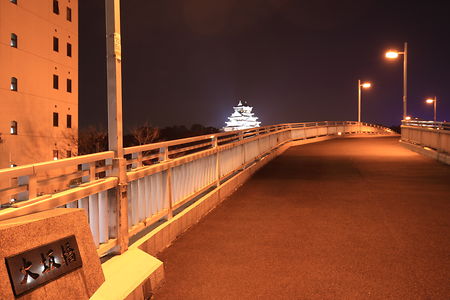 ライトアップされた大阪城と大坂橋