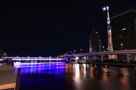 隅田川橋梁と東京スカイツリーを望む
