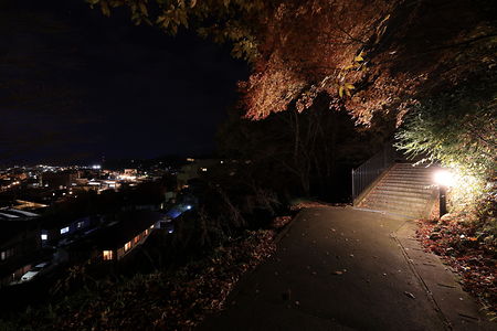夜景が最も良く見える階段付近の歩道